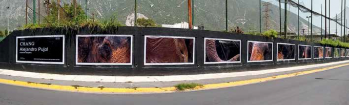 Exposición CHANG de Alejandro Pujol Fotografía digital impresa sobre lona Ubicada en Av Las Torres y calle Mercurio San Pedro Garza García Nuevo León Fuente Antonio Pichardo Murillo