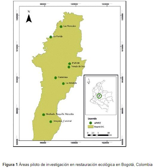 Descripción: http://www.scielo.org.co/img/revistas/cofo/v21n1/0120-0739-cofo-21-01-00005-gf1.gif