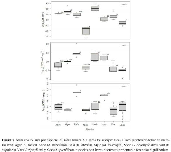 Descripción: http://www.scielo.org.co/img/revistas/cofo/v21n1/0120-0739-cofo-21-01-00005-gf3.gif