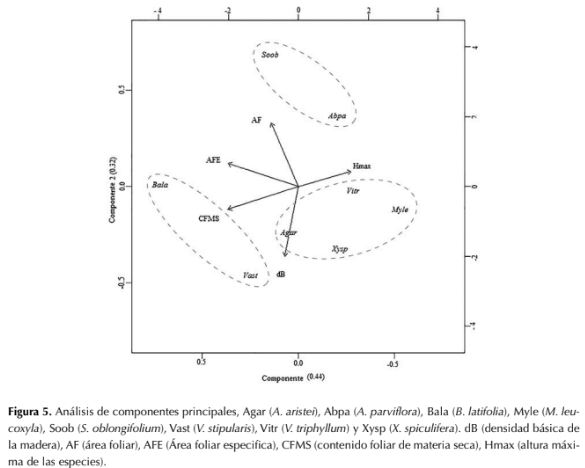 Descripción: http://www.scielo.org.co/img/revistas/cofo/v21n1/0120-0739-cofo-21-01-00005-gf5.gif