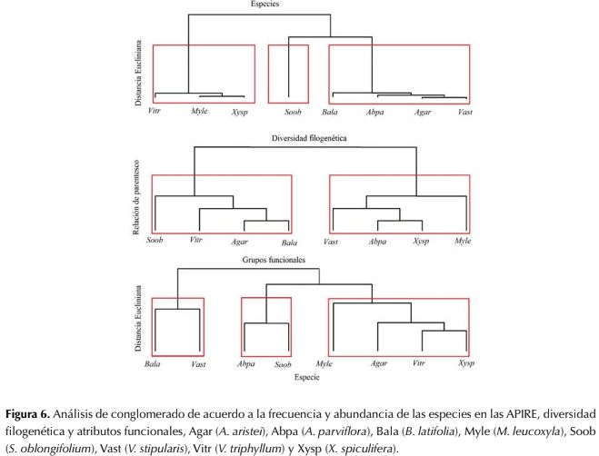 Descripción: http://www.scielo.org.co/img/revistas/cofo/v21n1/0120-0739-cofo-21-01-00005-gf6.gif