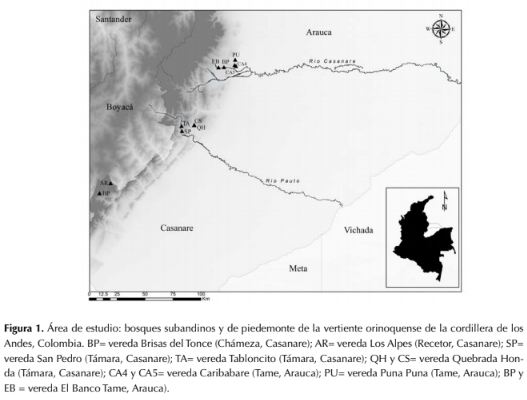 Descripción: http://www.scielo.org.co/img/revistas/cofo/v21n1/0120-0739-cofo-21-01-00018-gf1.gif