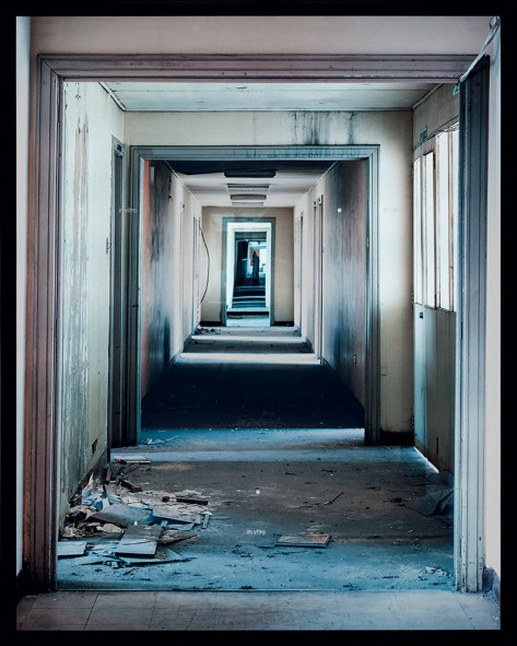 María Elvira Escallón (1954). IN VITRO, 1997. 160,5 x 127,8 x 15,5 cm. Caja de luz. Instalación. Imagen de la pieza adquirida por el Banco de la República en diciembre 2013