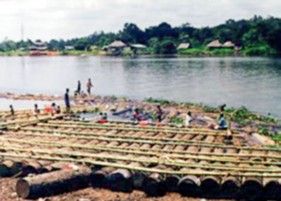 Rio Santiago, Borbón (2001). Fotografía: Lucy Santacruz Benavides.